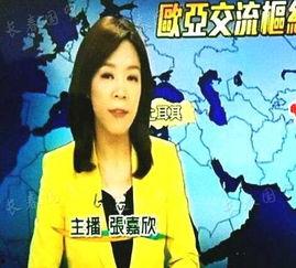 张嘉欣最新爆料消息新闻,揭秘娱乐圈惊人内幕